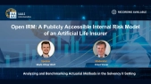Open IRM – A Publicly Accessible Internal Risk Model of an Artificial Life Insurer for Analyzing and Benchmarking Actuarial Methods in the Solvency II Setting