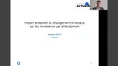 Analyse de l'impact prospectif du changement climatique sur les inondations par débordement